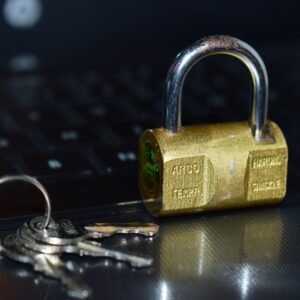 Heavy Duty Door Padlock